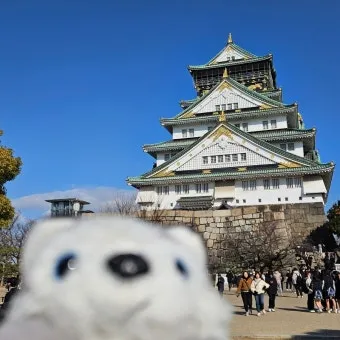 오사카 여행 3박4일 코스 도톤보리 USJ 교토까지_23
