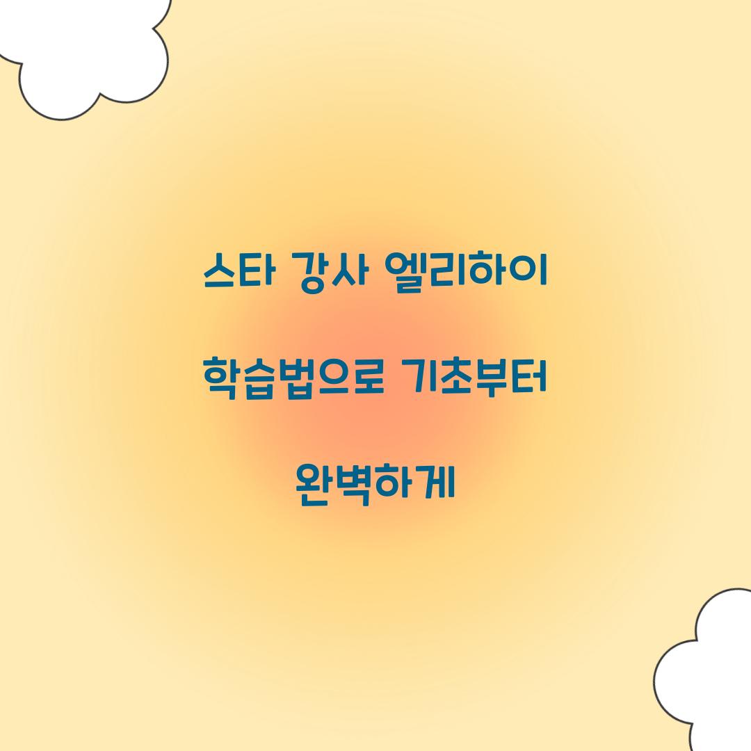 스타 강사 엘리하이 학습법
