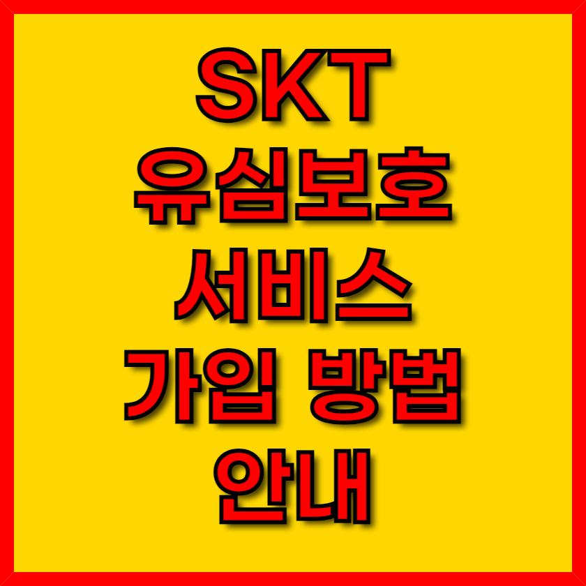 skt 유심보호 서비스 이미지