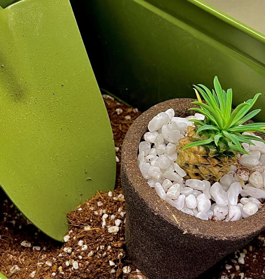 퇴비로 활용되는 커피박 화분