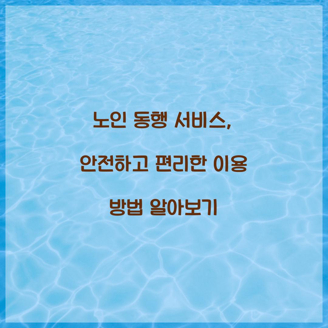 노인 동행 서비스