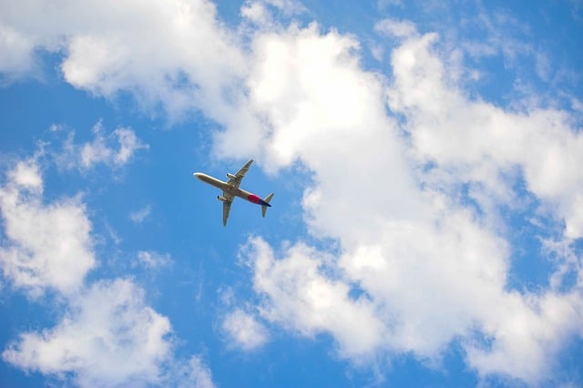 청주공항 제주공항 비행기 운항 시간표 스케줄 청주공항 위치 대중교통 청주공항 항공권 비행기표 예약4