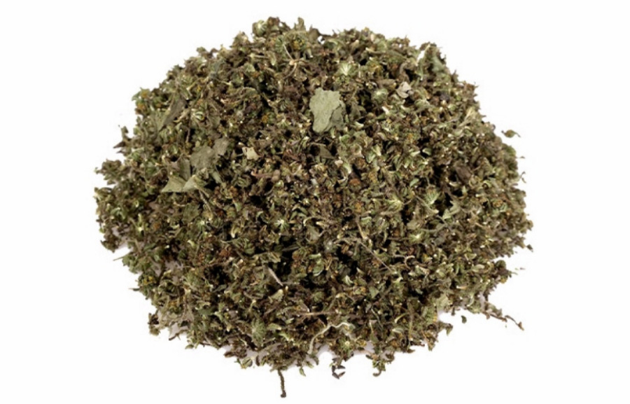 야생에서 채취를 한 진득찰, 즉 희첨의 꽃과 잎을 잘 세척하고 건조시킨 것을 하얀 바닥 위에 수북하게 쌓아두고 찍은 사진