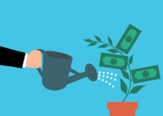돈을 투자해 불리는 것을 식물이 자라는 걸로 빗대어서 설명한 사진