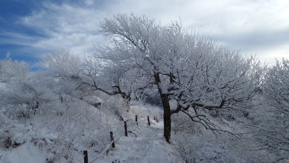 100대명산 등산하기 세번째 지리산(智異山) 은 대한민국을 대표하는 명산이자, 우리 민족의 정신이 깃든 산 남한의 최고 명산 천왕봉의 산