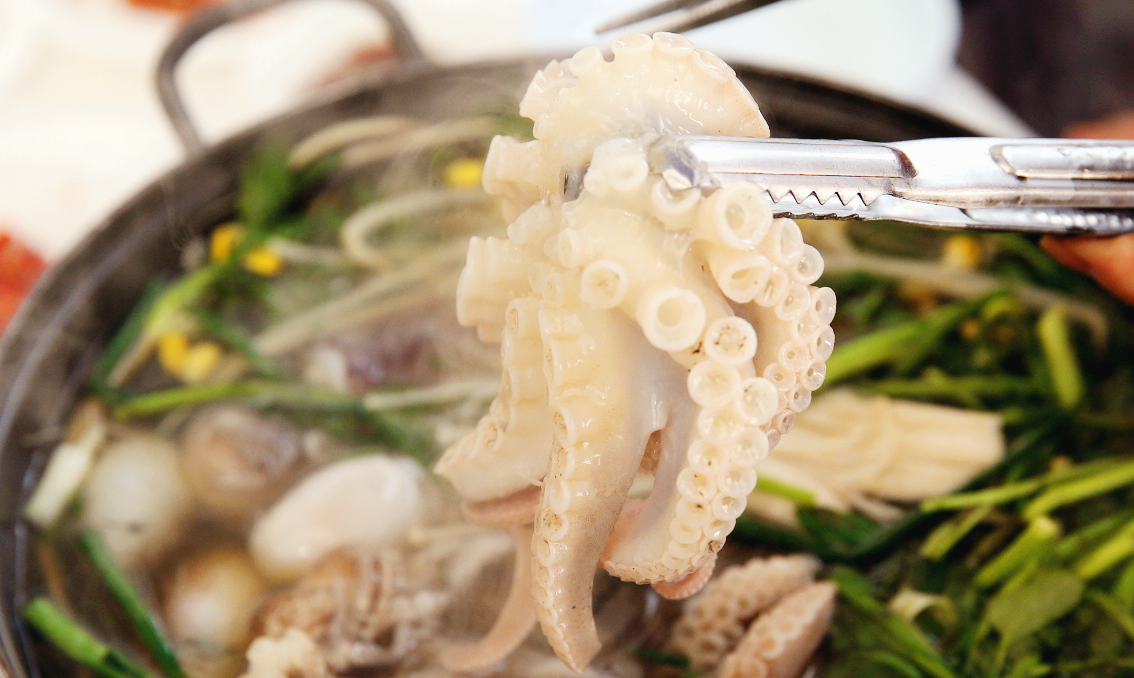 서천 동백꽃 주꾸미축제