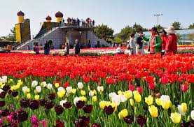 안면도 가볼 만한 곳 BEST 10