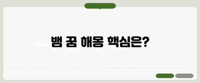 뱀 꿈해몽 사용법 필수 체크리스트