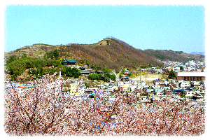비봉산