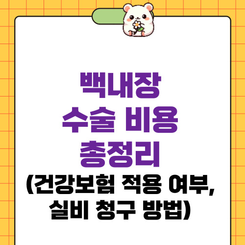 백내장 수술 비용