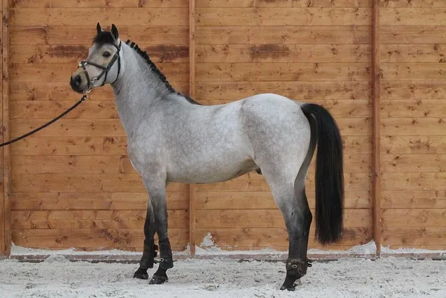 차상위계층 기준 혜택 확인방법 정리_5