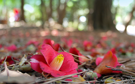 여수 가볼만한곳