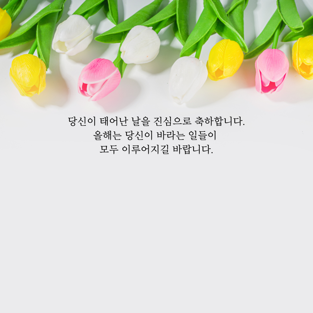 간단한 생일 축하 문자 메세지 꽃다말 이미지 인사 글귀 모음