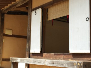 서산 유기방가옥 수선화 축제 기간 개화 총정리