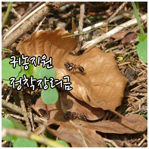 2025년 보성군 귀농 지원, 정착 ..