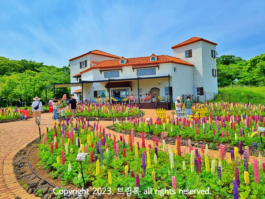 붉은지붕과 하얀벽의 건물 앞에 보라&amp;#44;하얀&amp;#44;노란&amp;#44; 분홍 등의 길쭉한 꽃리 많이 피어있다.