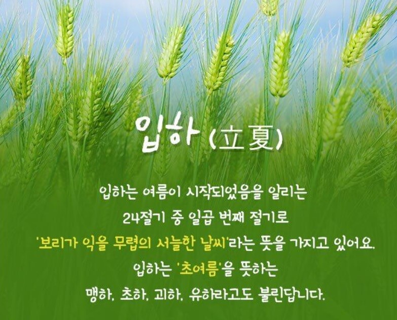 여름절기 입하