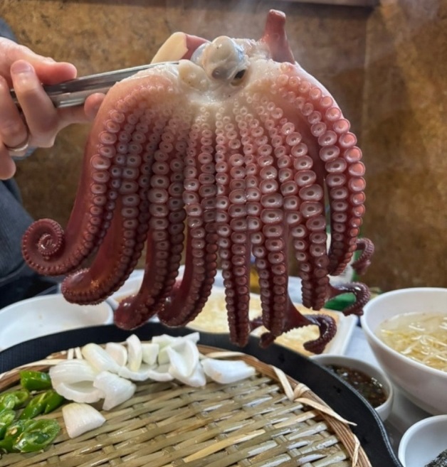 삼척-문어숙회