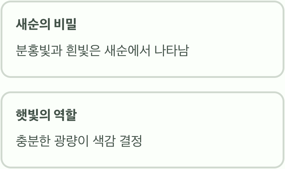 1. 핑크빛 새순의 비밀&amp;#44; 햇살을 선물하세요