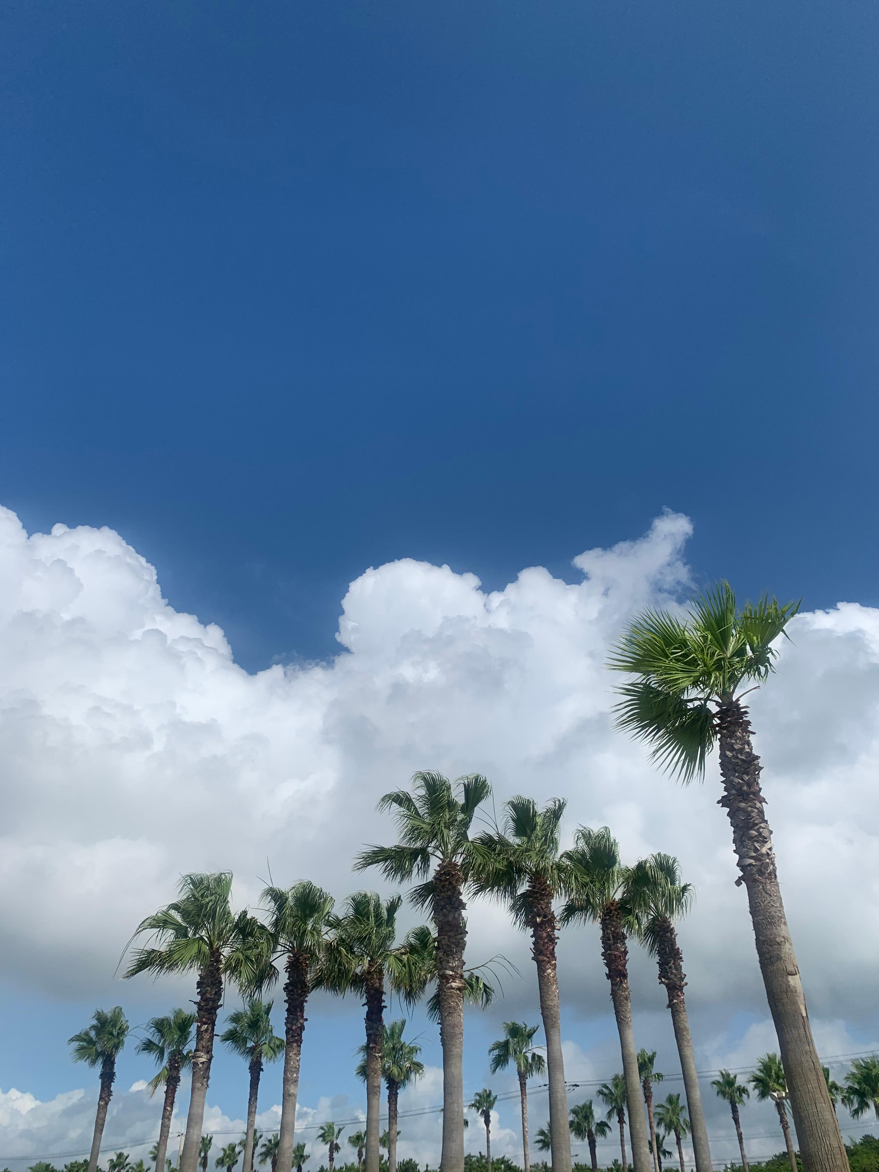 제주도 동부 서부 여행 코스 풍경, 맛집, 숙소로 비교