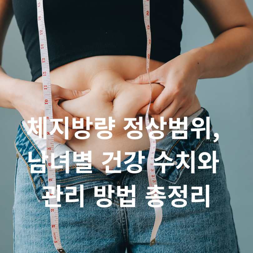 체지방량 정상범위, 남녀별 건강 수치와 관리 방법