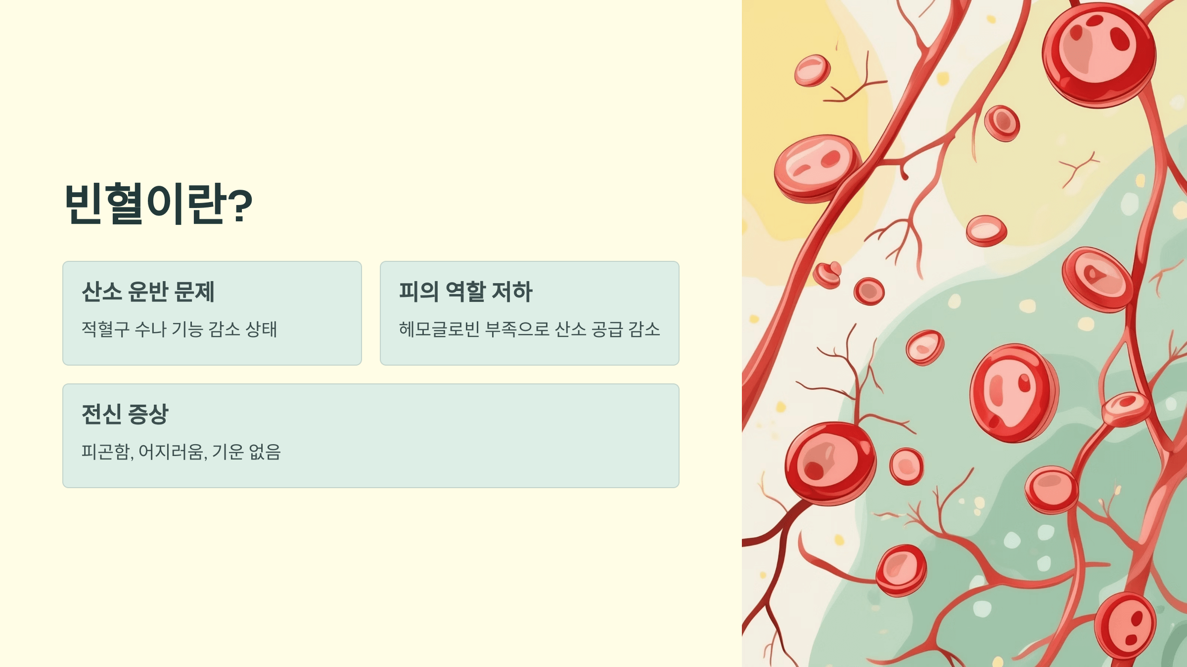 빈혈과 관련된 사진입니다.