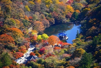 전남 내장산 단풍