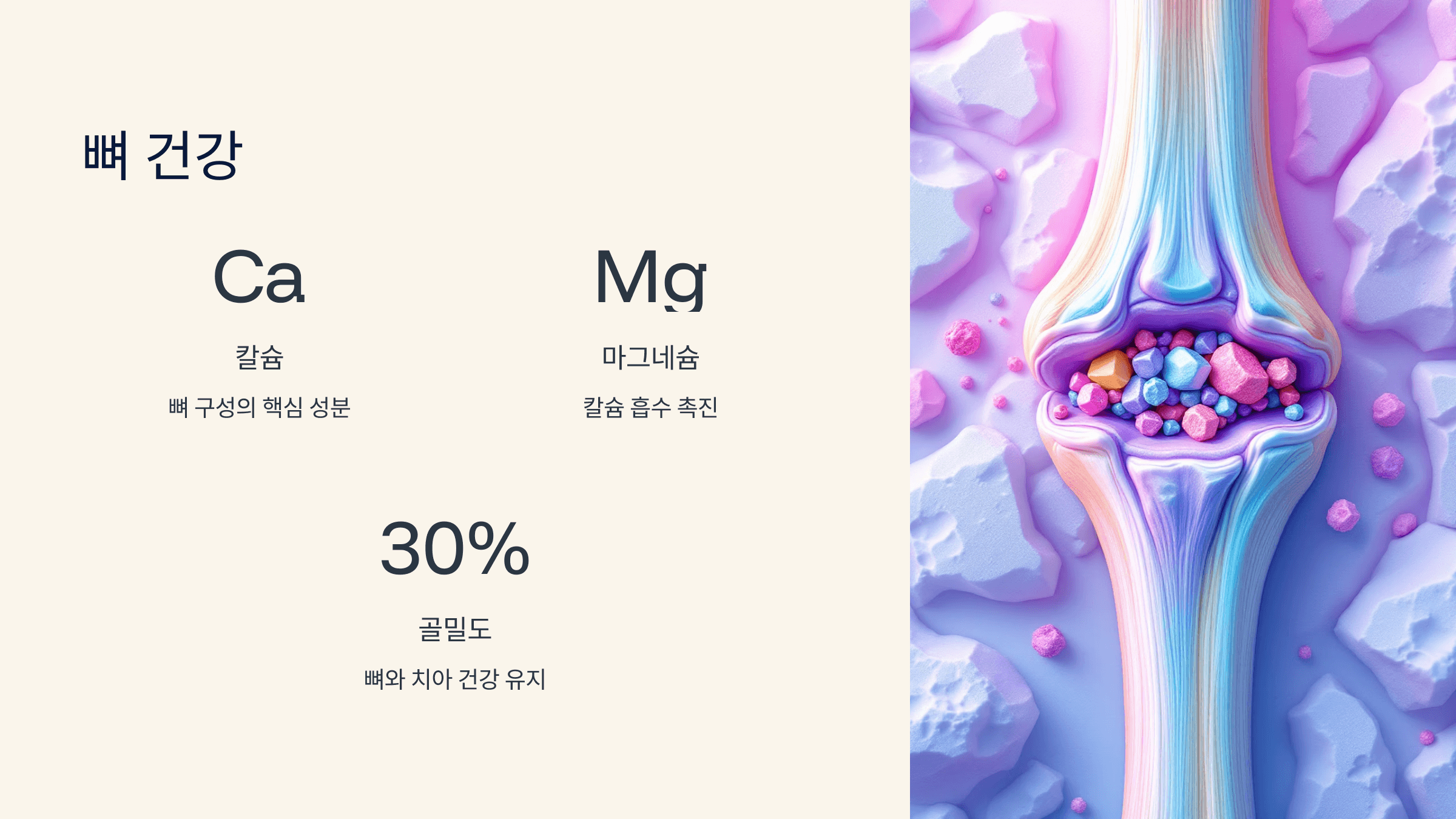 루이보스차 사진입니다.