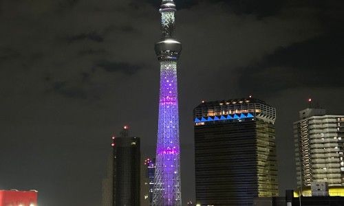 아사쿠사 가족 여행