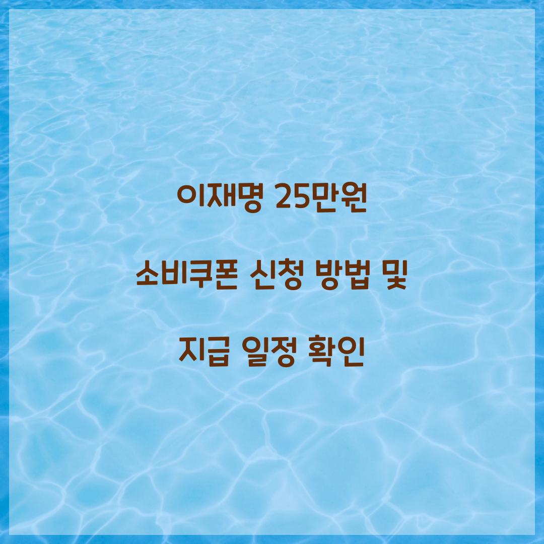 이재명 25만원 소비쿠폰 