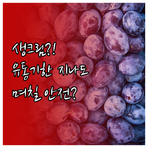 생크림 유통기한 지나도 며칠까지 안전..