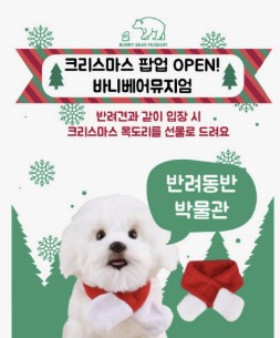 귀여운-크리스마스-팝업