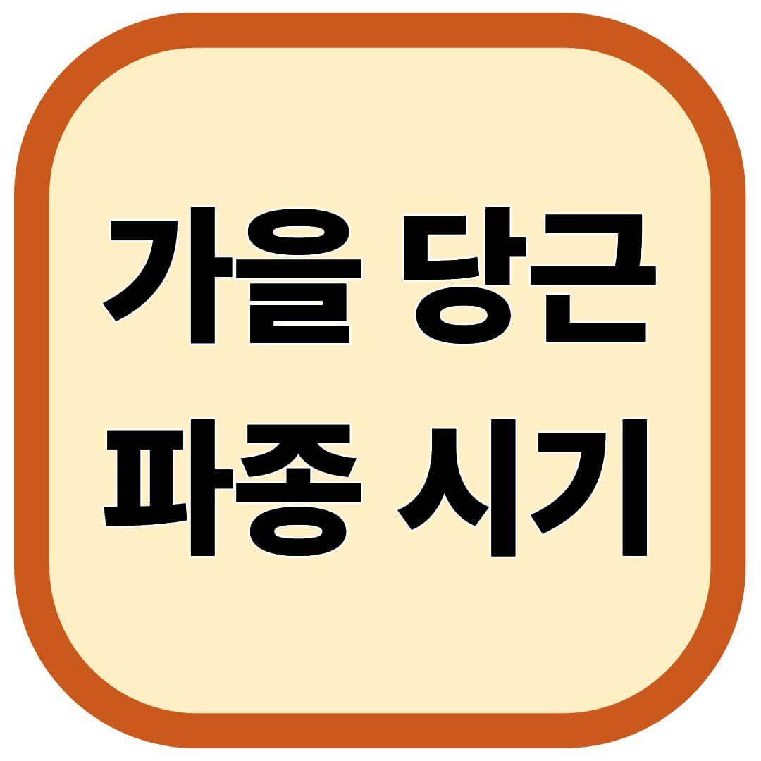 가을 당근 파종 시기
