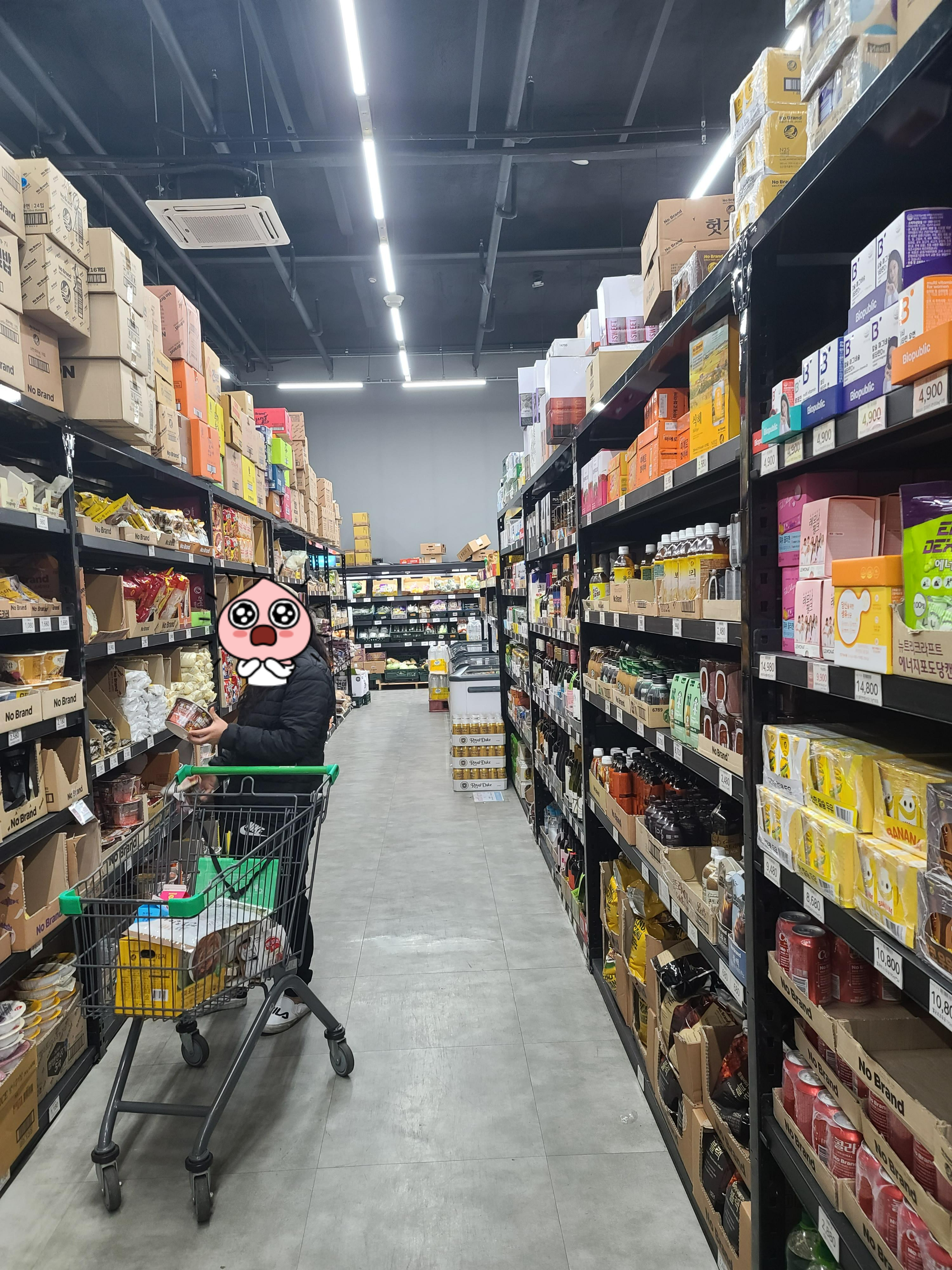 엄마가 사준 담요 좋아해주는 냥냥이들(feat.집사의 일상)