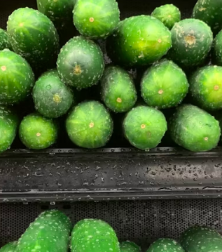 오이 효능 부작용 고르는법 칼로리