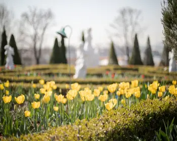 퍼스트가든 봄꽃축제 블루밍가든_3