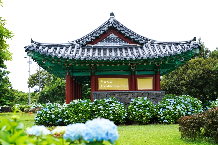 제주도 여행코스 2박 3일