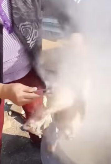 에헤이 조졌네 이거