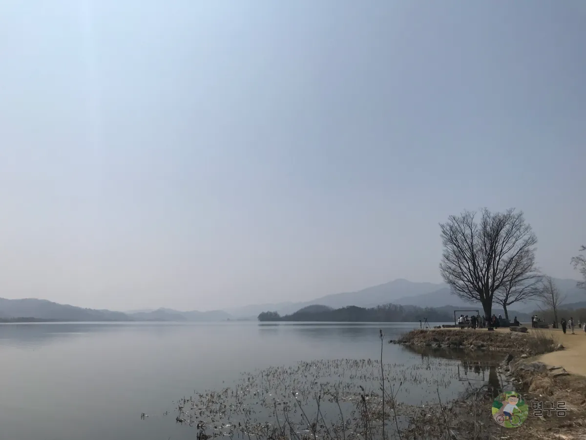 두물머리-나무-포토존이-멀리-보인다