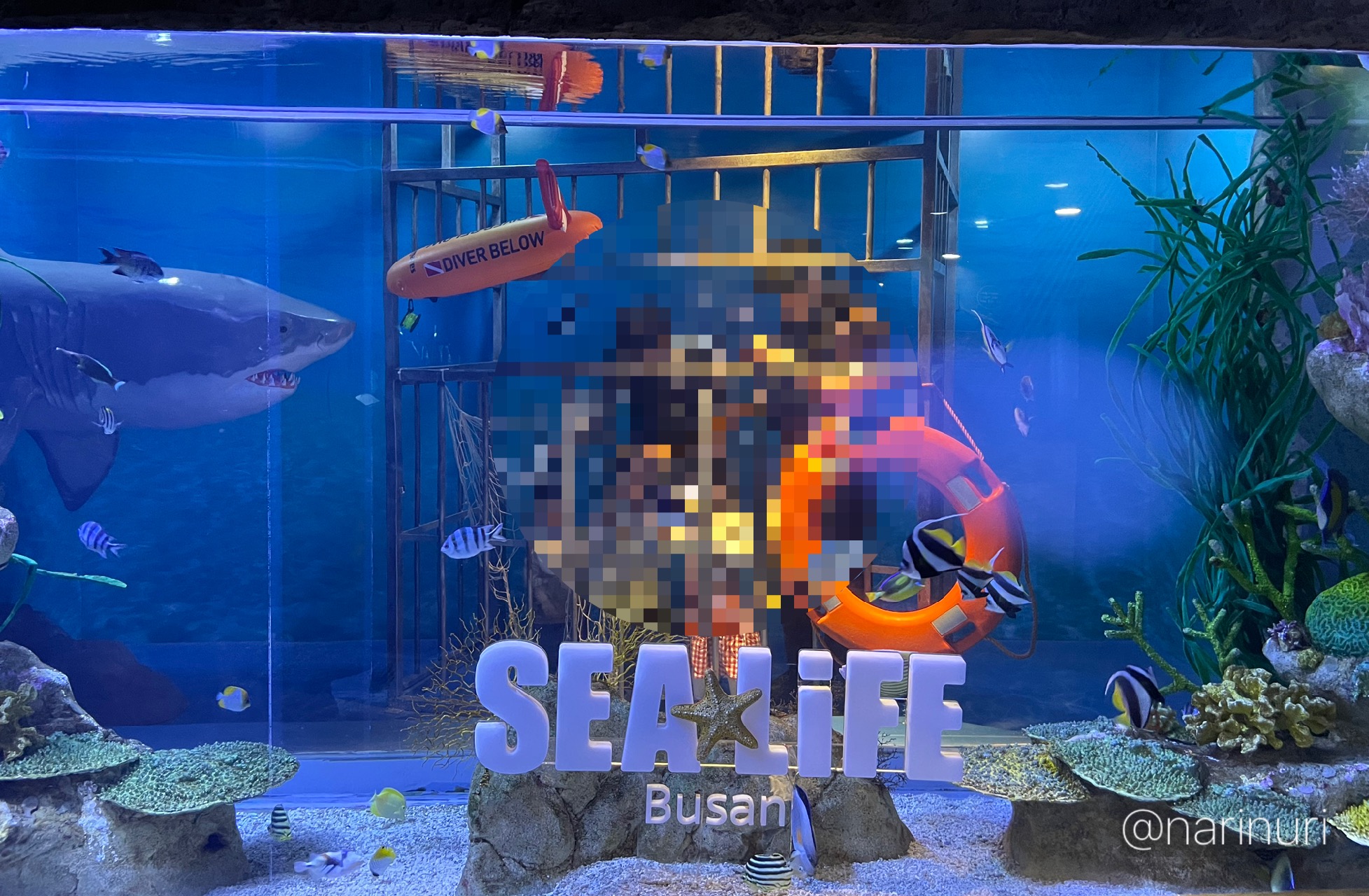 부산아쿠아리움 아기랑