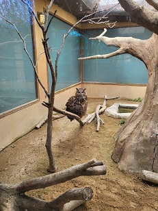 에버랜드 스마트줄서기