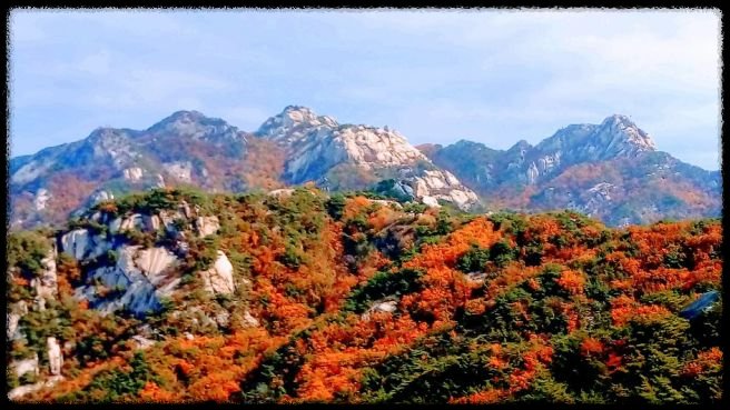 2024 가을&amp;#44; 국내 단풍 명소 추천: 절정 시기와 여행 팁까지 완벽 가이드