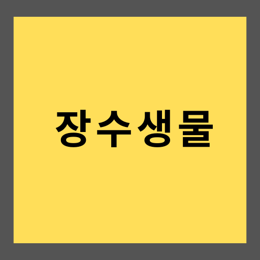 거북이 수명 만년 장수 생물