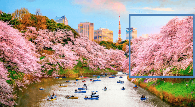 키타노마루공원방향