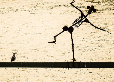 철학자의 하루 - 제논의 금욕 일상