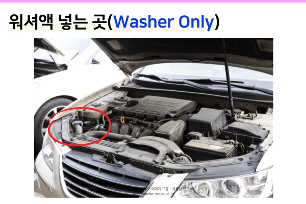 자동차-워셔액-넣는-곳은-파란색-뚜껑으로-돼-있다