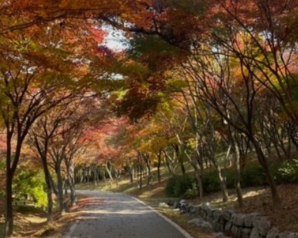 물향기수목원