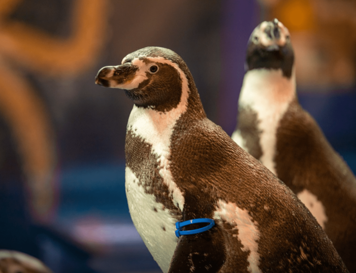 비오는 어린이날 가볼만한 곳 추천