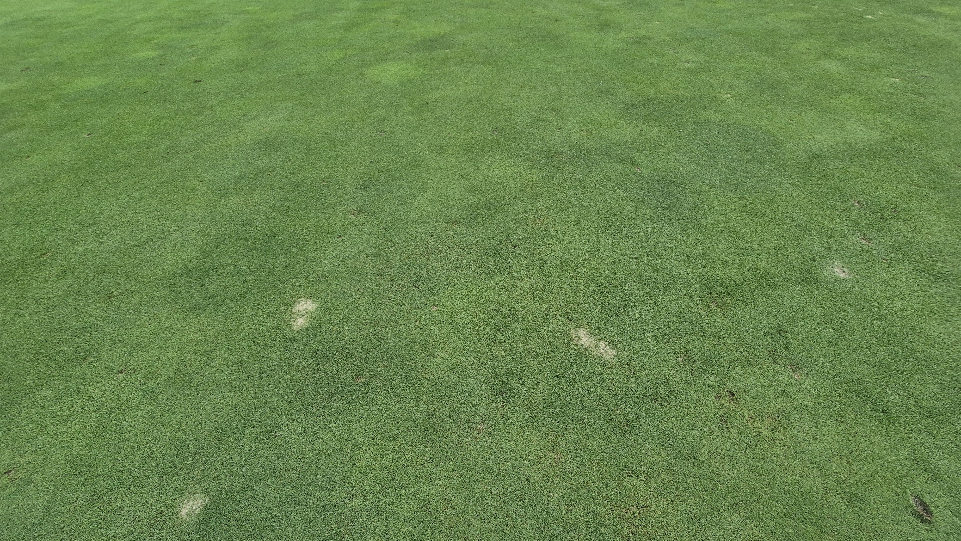 동원썬밸리cc 라운드 후기