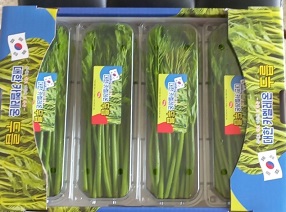 여름두릅